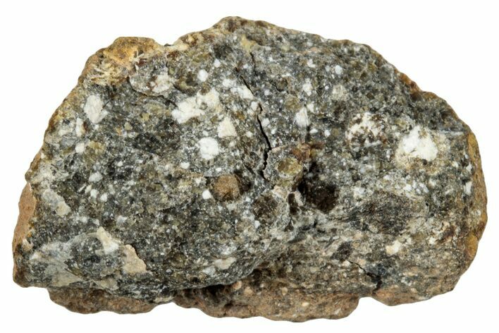 Howardite Meteorite ( g) - Bechar #287003